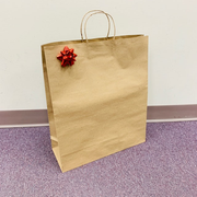 Gift Bag Kraft Natural Lrg