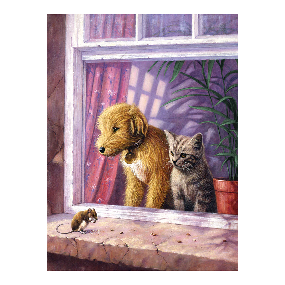 PBN Window Watching – WHOOLA TOYS